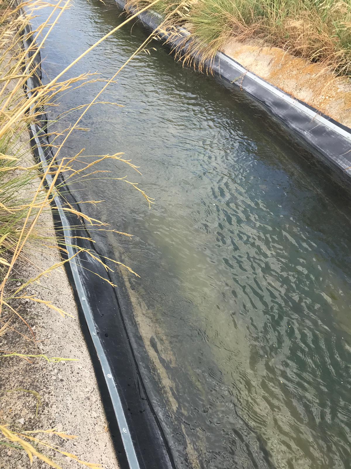 canal de riego